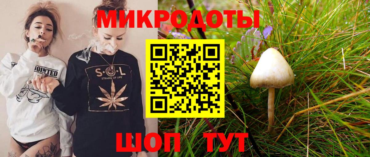 Псилоцибиновые грибы GOLDEN TEACHER  Вход с VPN  Галлюциногенные грибы Cubensis  Новый Уренгой 
